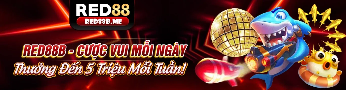 Cập nhật tin tức và ưu đãi mới nhất từ Bigboss 2026