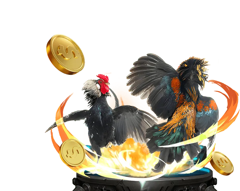 Giới thiệu ưu đãi Bigboss